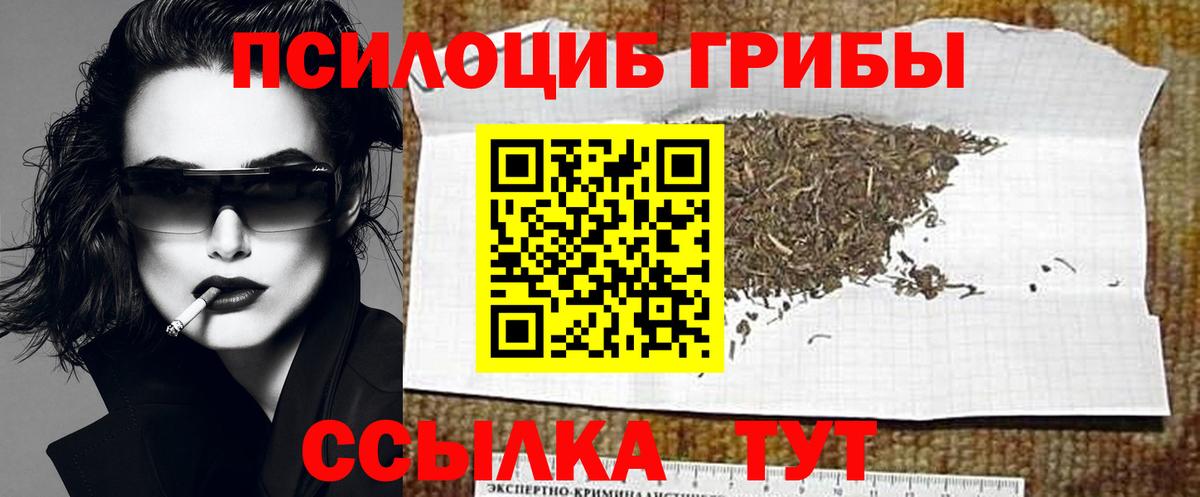 Псилоцибиновые грибы мицелий Берёзовский